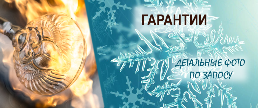 Бонусы и Гарантии